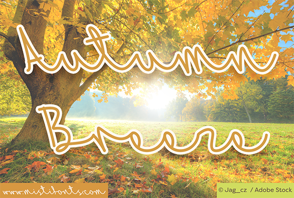 Autumn Breeze Font for Business
