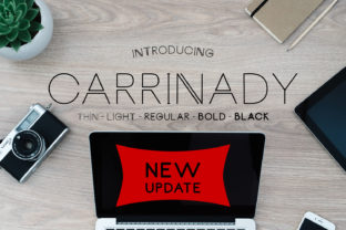 Carrinady: A Font for Modern Campaigns