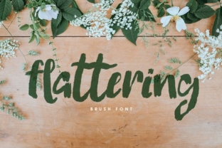 Flattering Font Review