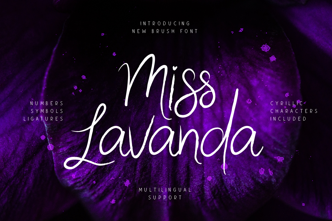 Miss Lavanda: A Brush Font for Creative Branding