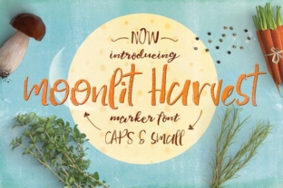 Moonlit Harvest Font for Creative Projects