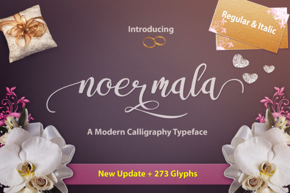 Noermala: The Script Handwritten Font for Campaigns