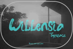 Willensia Font: The Script Handwritten Choice for Campaigns